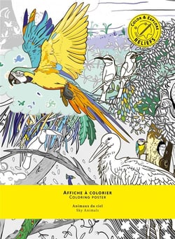 Animaux du ciel - affiche à colorier