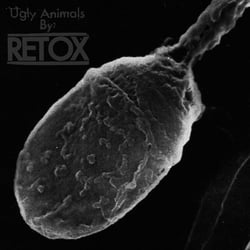 Ugly animals