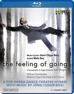 The feeling of going / Jónsi (Sigur Ros)