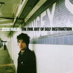 The fine art of self destruction