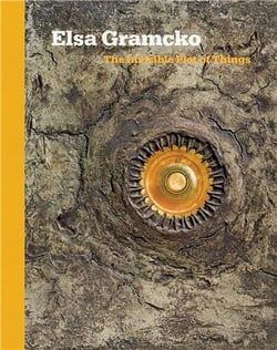 Elsa Gramcko : the invisible plot of things