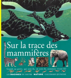 Sur la trace des mammiferes grands ou petits, qui sont-ils, ou sont-ils, comment vivent-ils ?