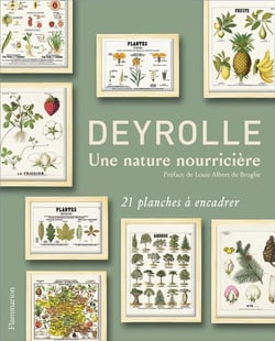 Deyrolle