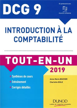 Dcg 9 - introduction a la comptabilité 2019 tout-en-un (édition 2019)