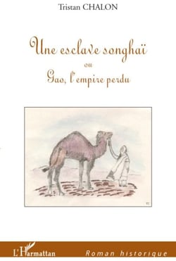 Une esclave songhaï ou gao, l'empire perdu