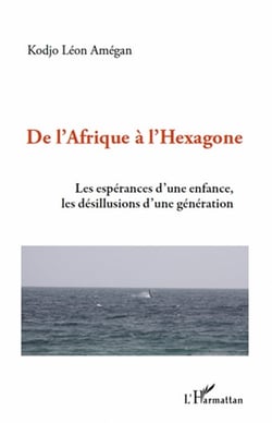 De l'Afrique à l'Hexagone - les espérances d'une enfance, les désillusions d'une génération