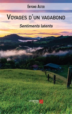 Voyages d'un vagabond : sentiments latents