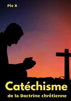 Catéchisme de la doctrine chrétienne : catechisme de saint Pie X