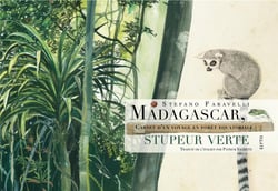 Madagascar, stupeur verte