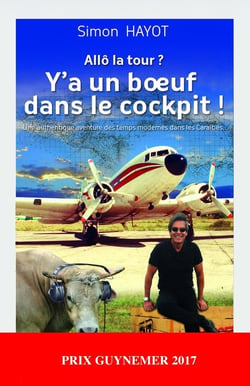 Allo la tour ? y a un boeuf dans le cockpit !