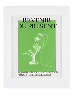 Revenir du présent : Poush à la Collection Lambert