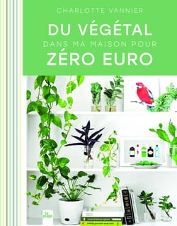 Du végétal dans ma maison pour zéro euro