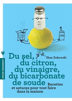 Du sel, du citron, du vinaigre, du bicarbonate de soude