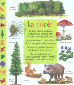 La foret
