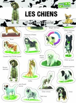 Les chiens - 65 autocollants