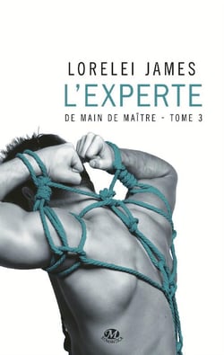 De main de maître Tome 3 : l'experte