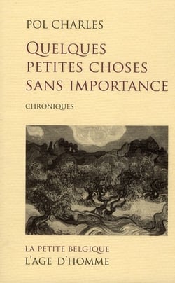 Quelques petites choses sans importance - chroniques