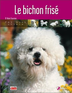 Le bichon frise