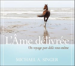 L'âme délivrée - un voyage par-delà vous-même