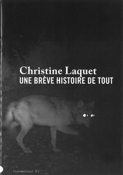 Christine laquet - une brève histoire de tout