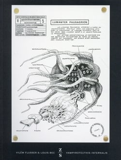 Vampyroteuthis infernalis