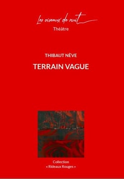 Terrain vague
