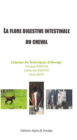 La flore digestive intestinale du cheval