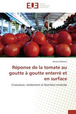 Reponse de la tomate au goutte a goutte enterre et en surface - croissance, rendement et nutrition m