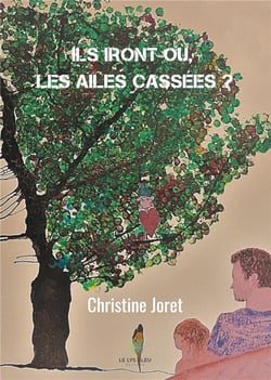 Ils iront où, les ailes cassées ?
