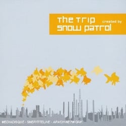 The trip created by snow patrol