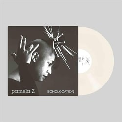 Echolocation