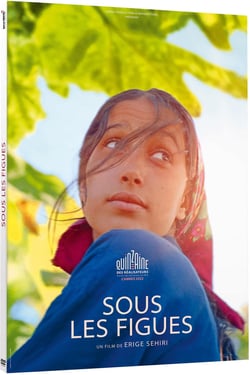 Sous les figues