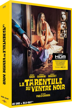 La Tarentule au ventre noir