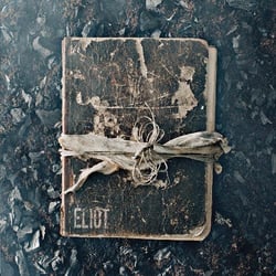 The book of Eliot