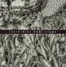 Labyrinthe D'Une Ligne