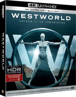 Westworld - Saison 1 : Le Labyrinthe