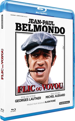 Flic ou voyou