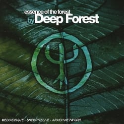 Essence Of The Forest