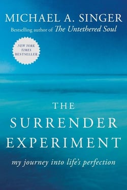 THE SURRENDER EXPERIMENT - MY JOURNEY INTO LIFE''S PERFECTION