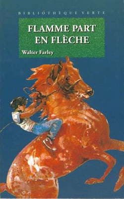 Flamme part en fleche