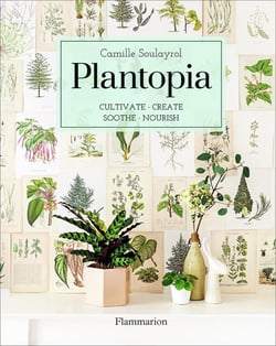 Plantopia, cultivate, create, soothe, nourish