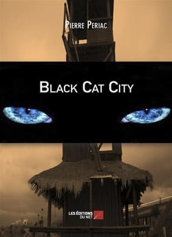 Black cat city