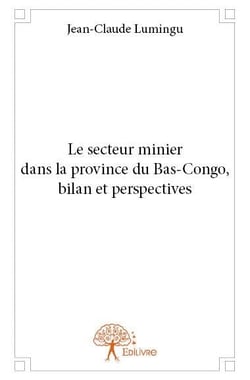 Le secteur minier dans la province du Bas-Congo - bilan et perspectives