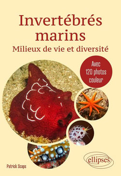 Invertébrés marins. Milieux de vie et diversité