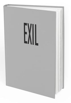 Exil de michael bunel