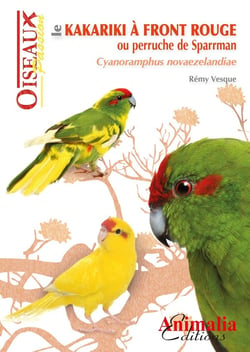 Le kakariki à front rouge ou perruche de Sparrman - cynoramphus novaezelandiae
