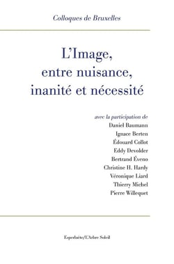 L'image, entre nuisance, inanité et nécessité : XIIe colloque de Bruxelles