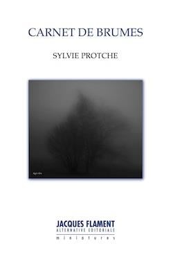 Carnet de brumes
