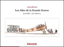 LES AILES DE LA GRANDE GUERRE : LES AILES DE LA GRANDE GUERRE