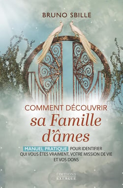 Comment découvrir sa famille d'âmes : Manuel pratique pour identifier qui vous êtes vraiment, votre mission de vie et vos dons